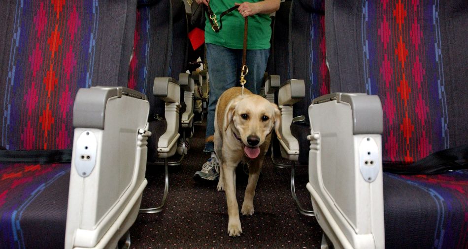 Southwest Airlines zabranio prevoz emotional support zivotinja u kabini<br /><br />